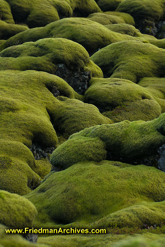 moss,green,rolling,hills,lava,texture,